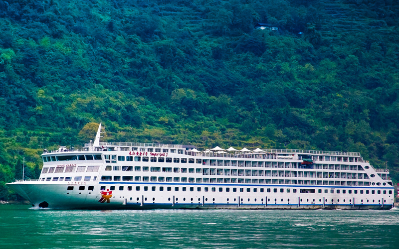 黃(huáng)金(jīn)2号